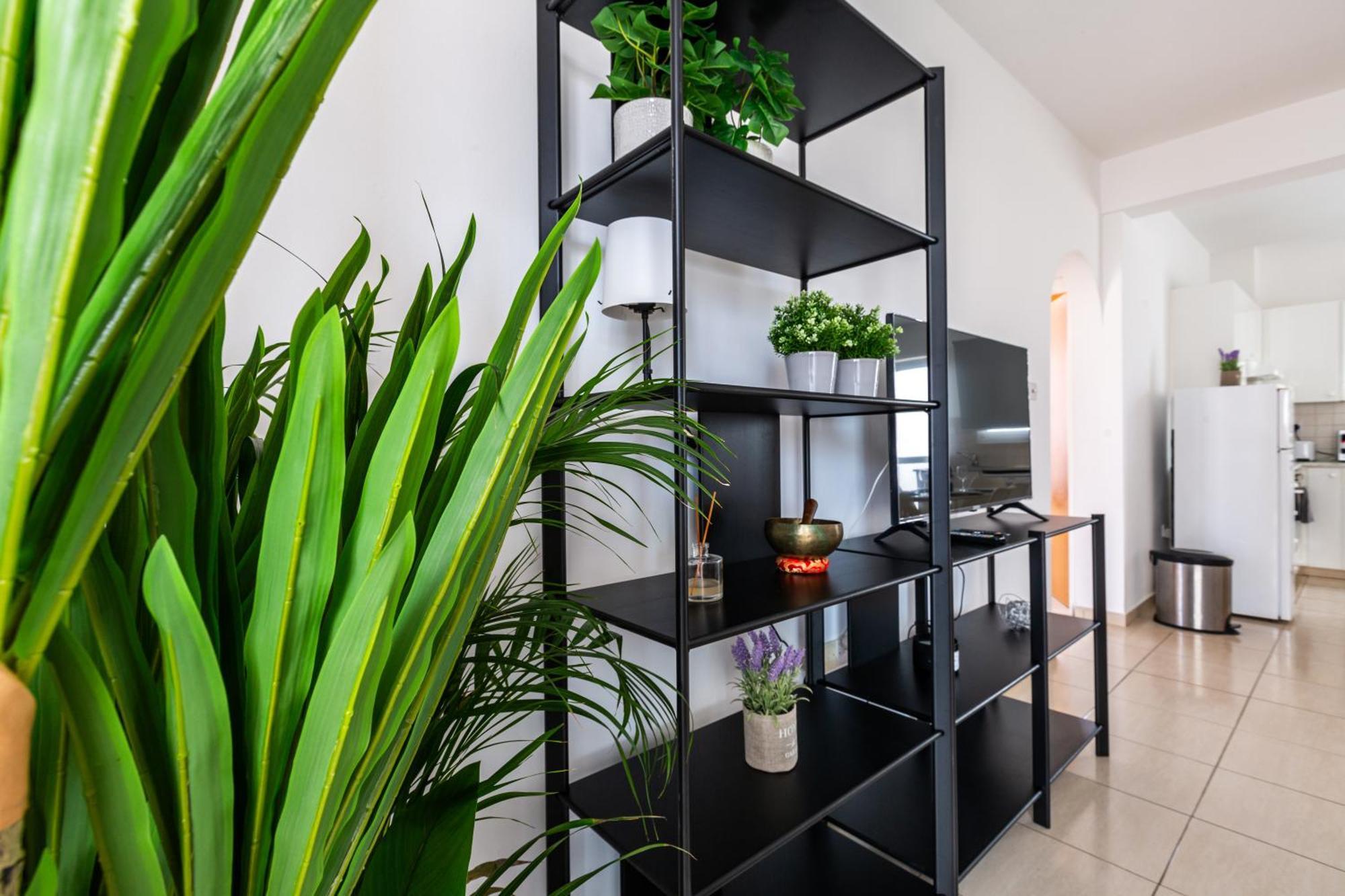 Beautiful 2 Bed Apartment In Paphos Cyprus 外观 照片